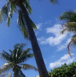 Meet your Posher, Abdel